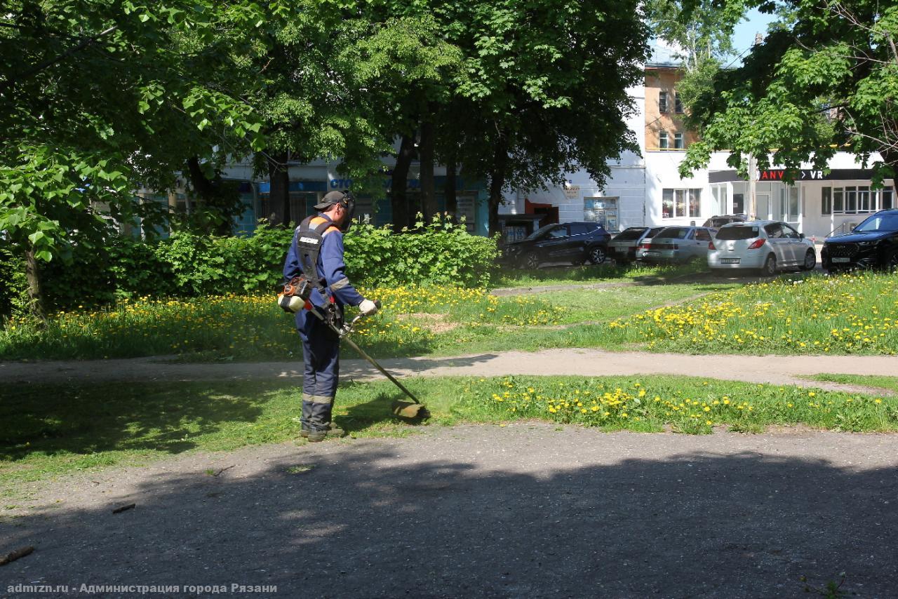В Рязани продолжается озеленение и уборка городских территорий