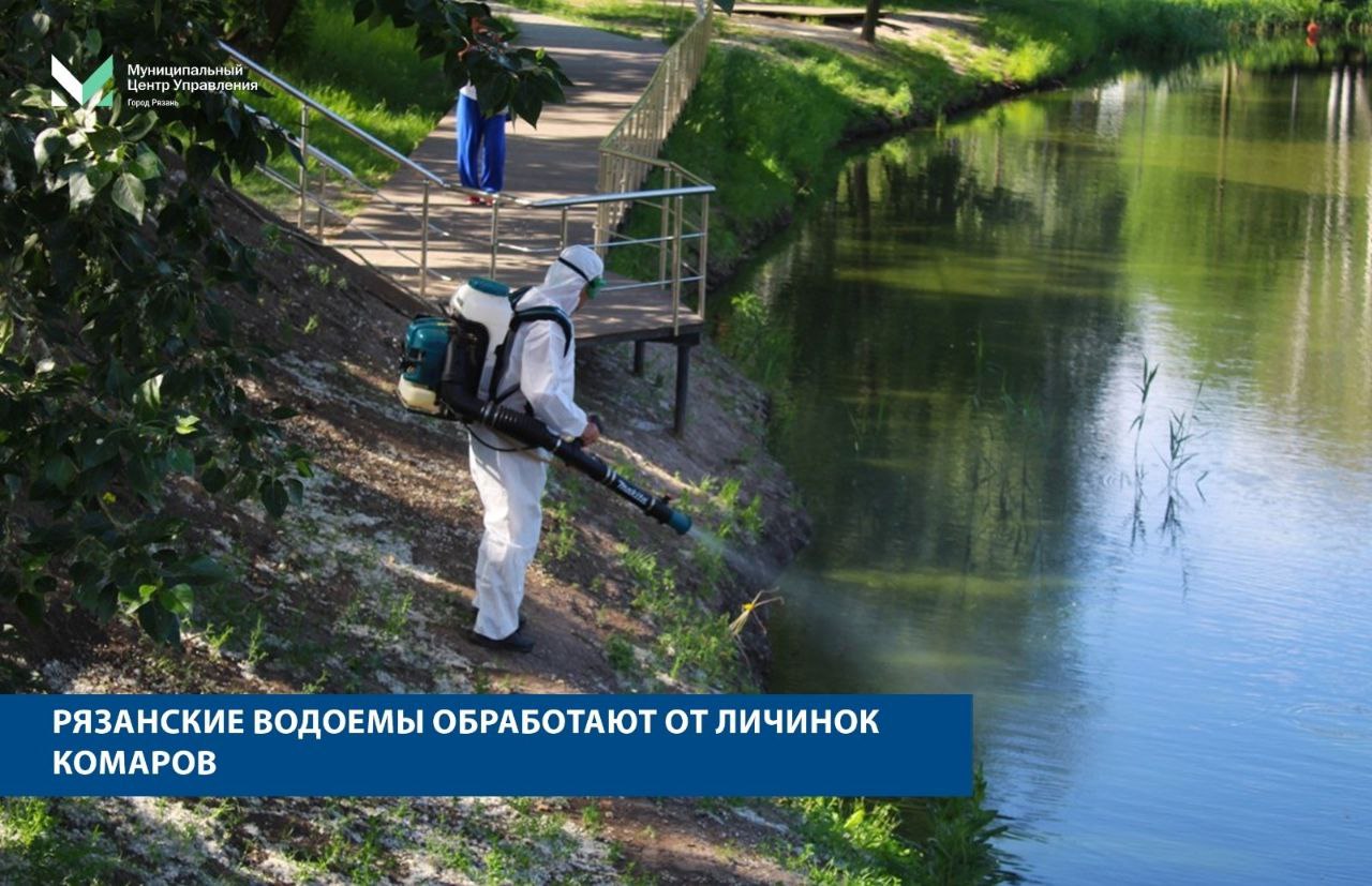 Рязанские водоемы обработают от личинок комаров Рязанские водоемы обработают от личинок комаров