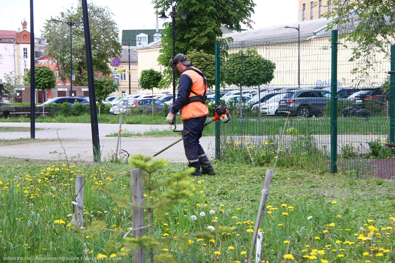 Окос травы и уход за цветниками: в Рязани продолжаются сезонные работы по благоустройству
