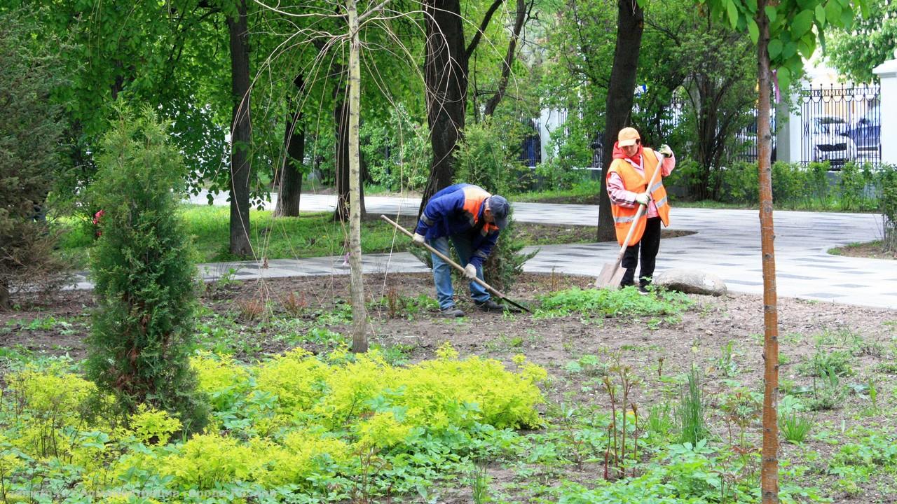 Высадка цветов и окос травы: в Рязани продолжаются сезонные работы по благоустройству