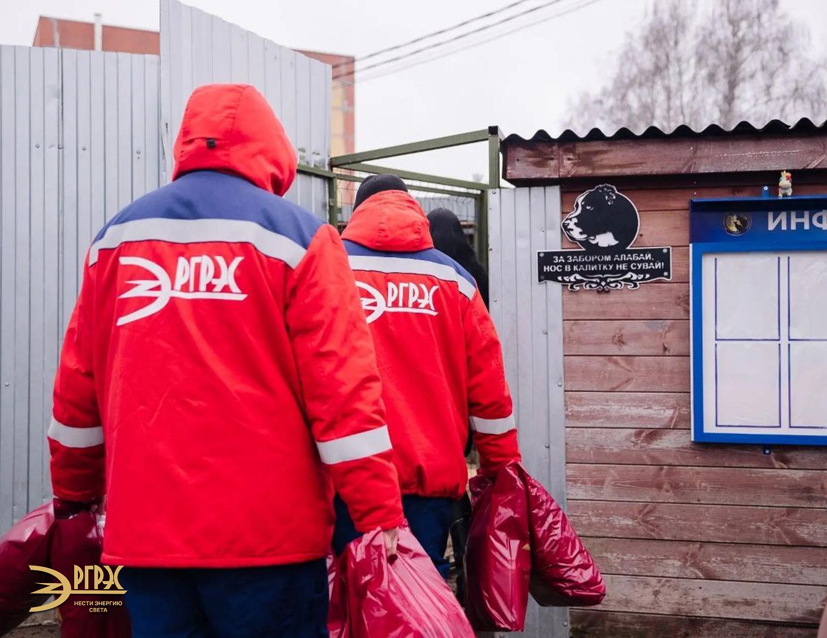 АО «РГРЭС» оказало поддержку МБУ «Городская служба по контролю за безнадзорными животными»