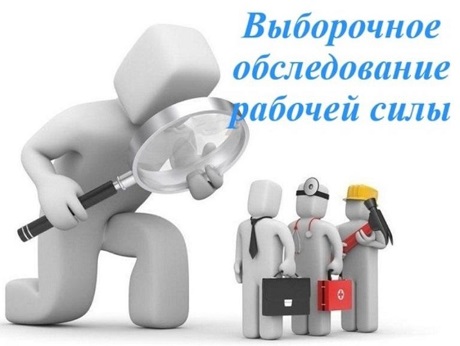 Выборочное обследование рабочей силы