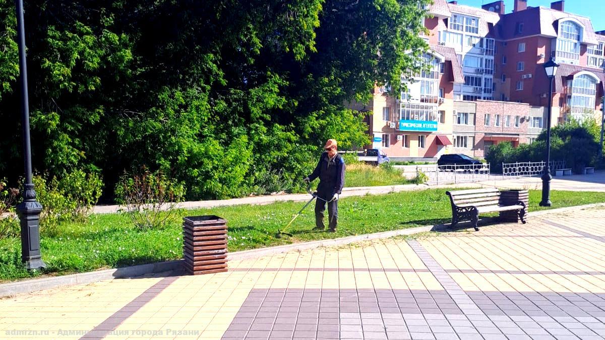 Уход за зелеными насаждениями и уборка территорий: работы по благоустройству продолжаются в ежедневном режиме