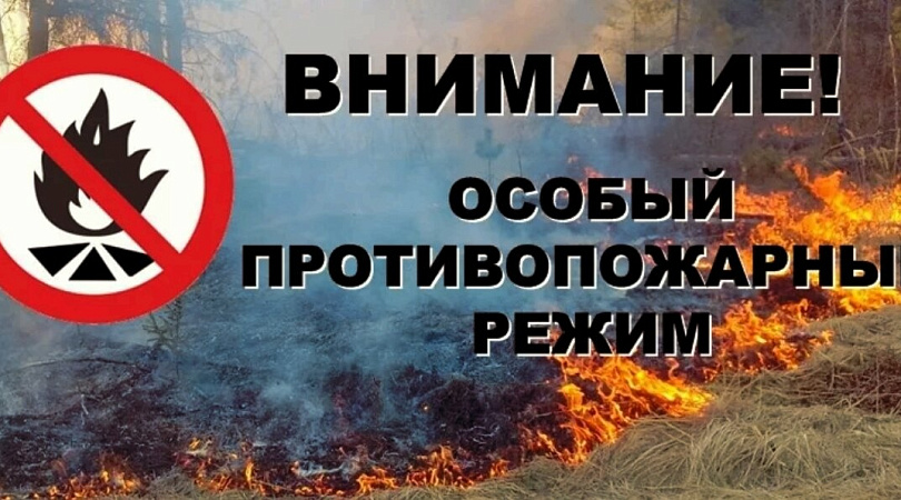 В Рязани введен особый противопожарный режим