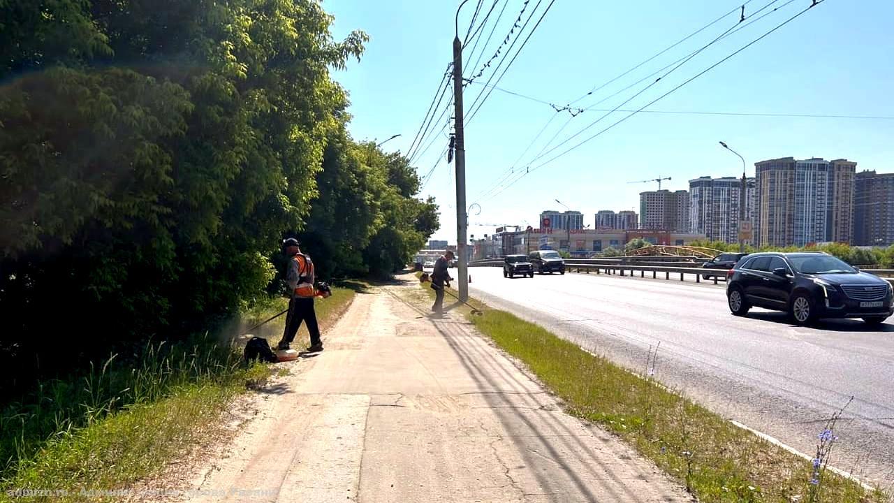 Окос травы и уход за цветниками: в городе продолжаются сезонные работы по благоустройству