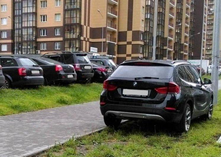 С начала года 4858 нарушителей привлечены к ответственности за заезд автотранспортных средств на газон и участки с зелеными насаждениями