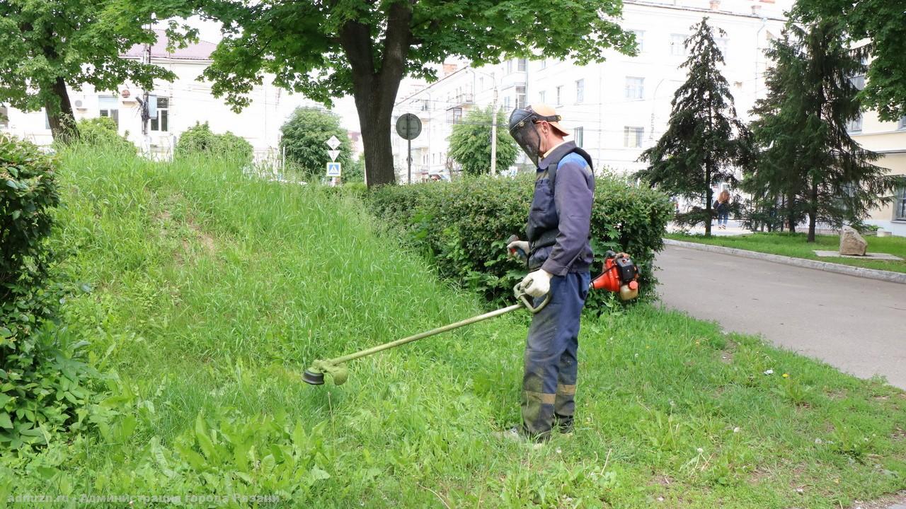 Окос травы и уход за цветниками: в Рязани продолжаются сезонные работы по благоустройству
