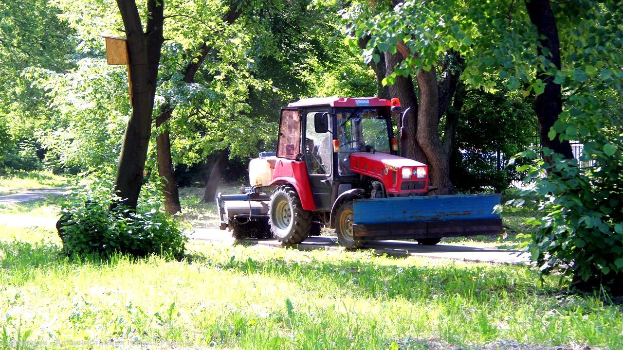 В областном центре продолжается озеленение и уборка городских территорий