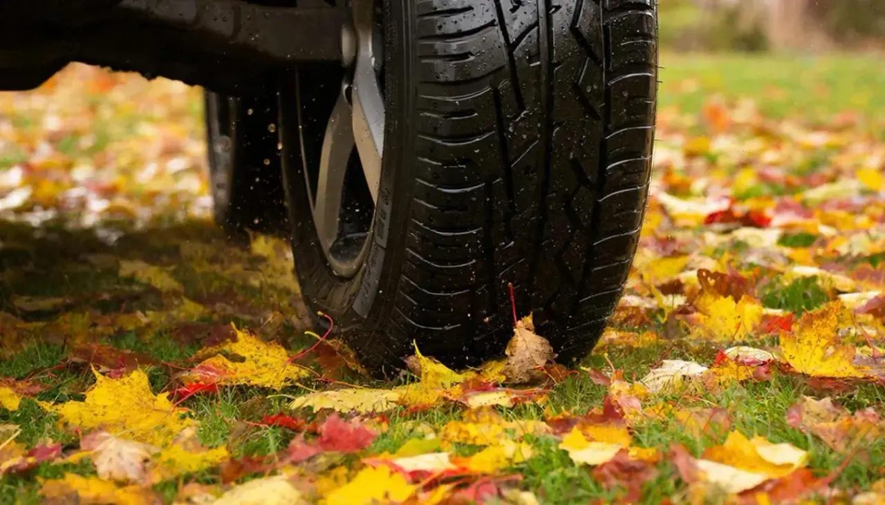 С начала года 11 350 нарушителей привлечены к ответственности за заезд автотранспортных средств на газон и участки с зелеными насаждениями