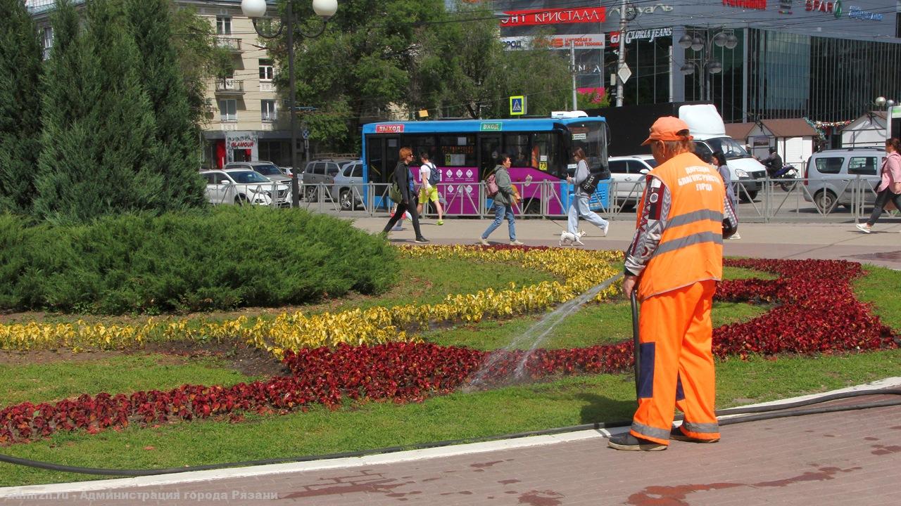 Окос травы и уход за цветниками: в Рязани продолжаются сезонные работы по благоустройству