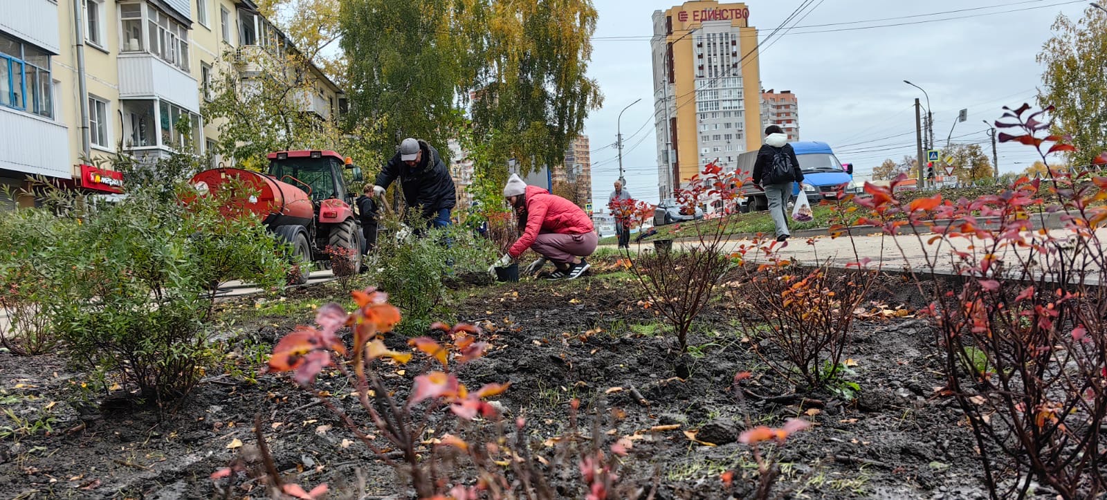 В Рязани продолжаются мероприятия по озеленению территорий