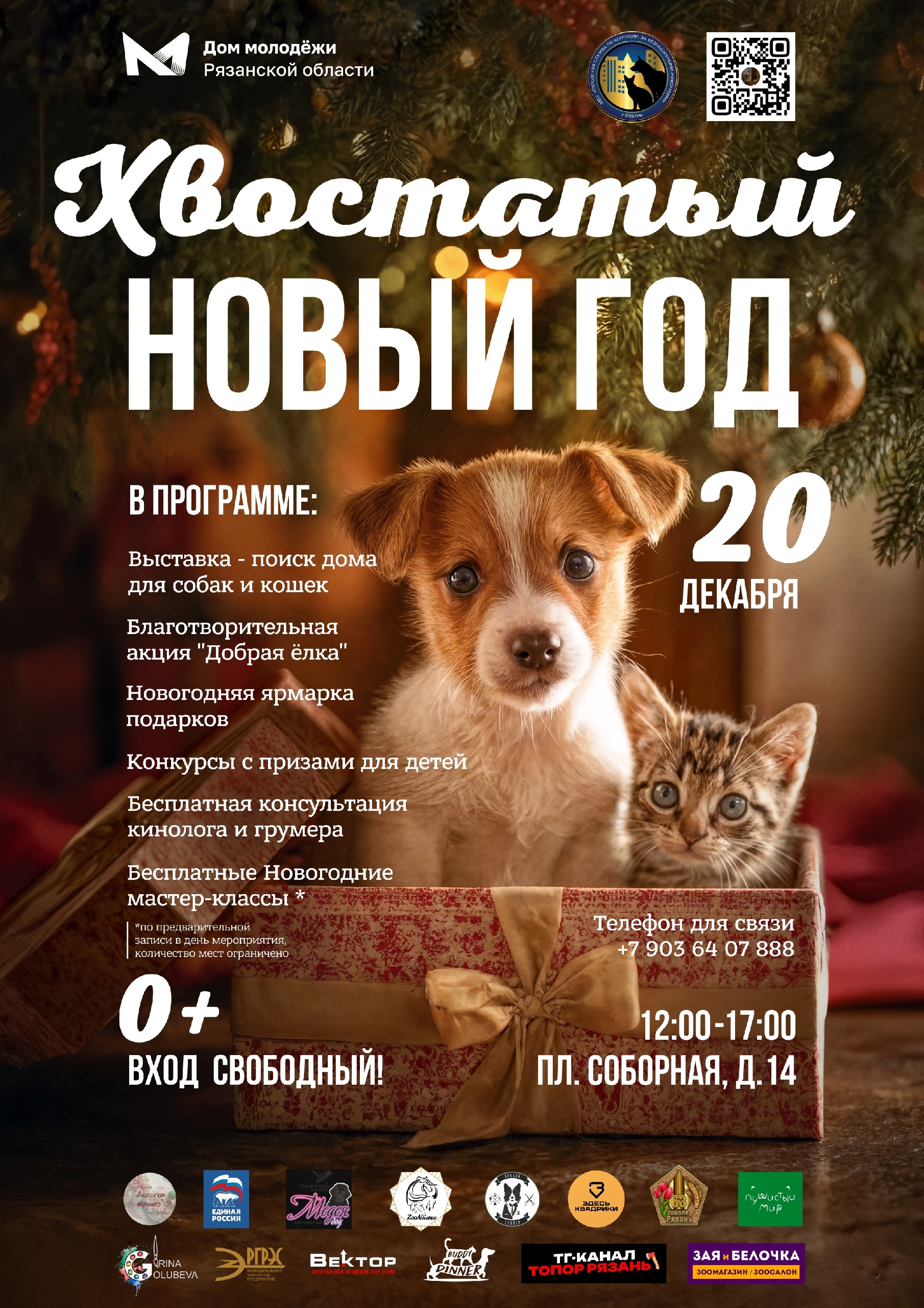 В Рязани пройдет предновогодняя выставка-пристройство бездомных животных