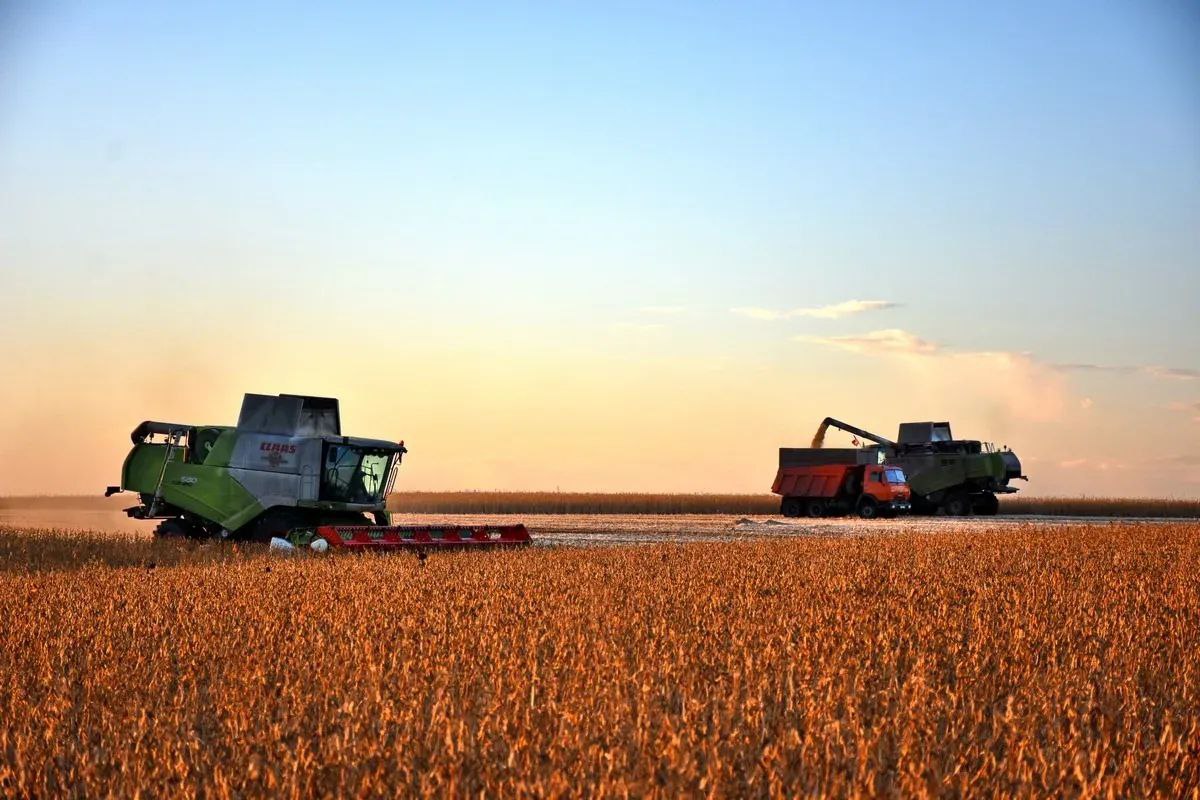 Губернатор Павел Малков: Наши аграрии собрали более трёх миллионов тонн зерна и близки к повторению рекорда