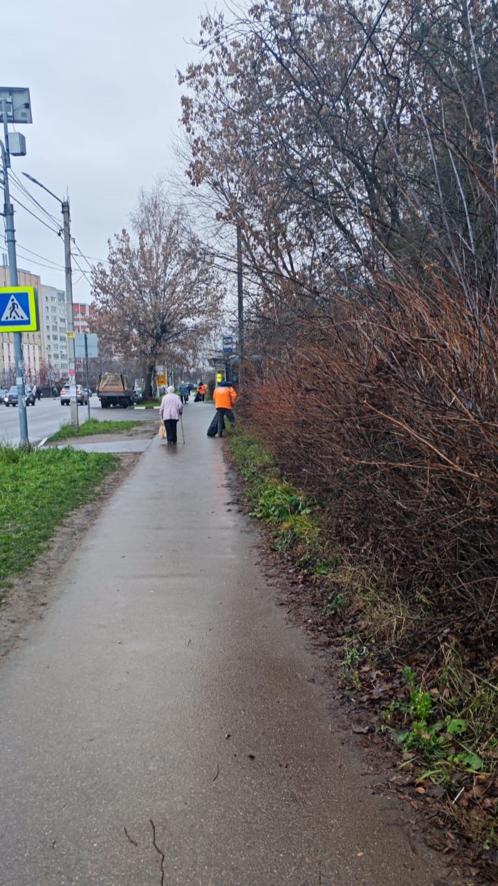 В Рязани продолжаются сезонные работы по уборке и благоустройству 