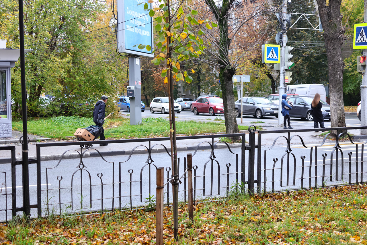 Павел Малков: Единый день озеленения пройдет во всех муниципалитетах Рязанской области