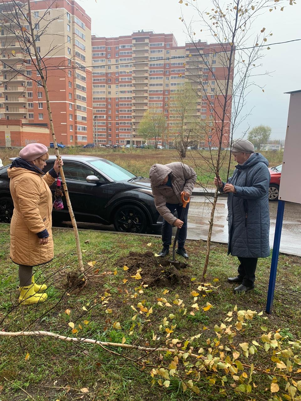 На территориях ТОС в рамках единого дня озеленения проходят высадки зеленых насаждений
