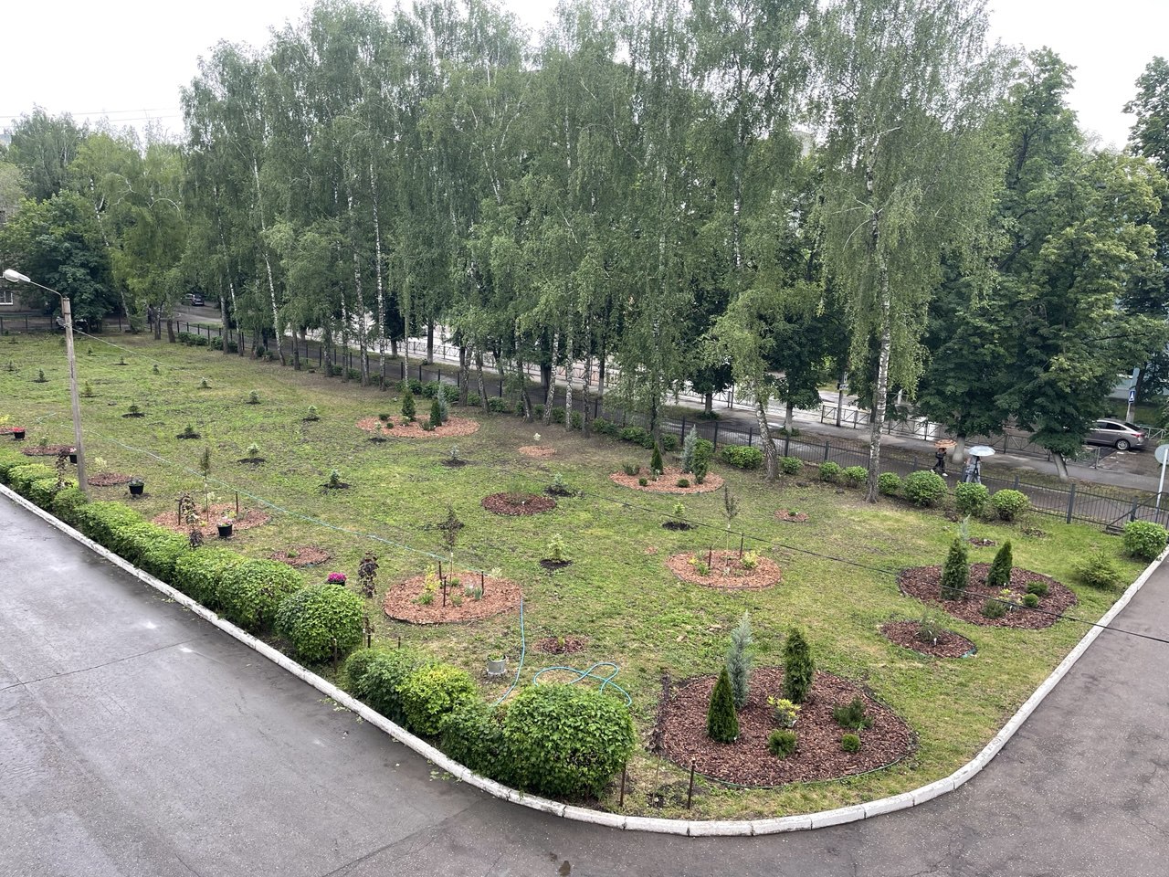 В Рязани продолжаются работы по озеленению территорий у образовательных учреждений