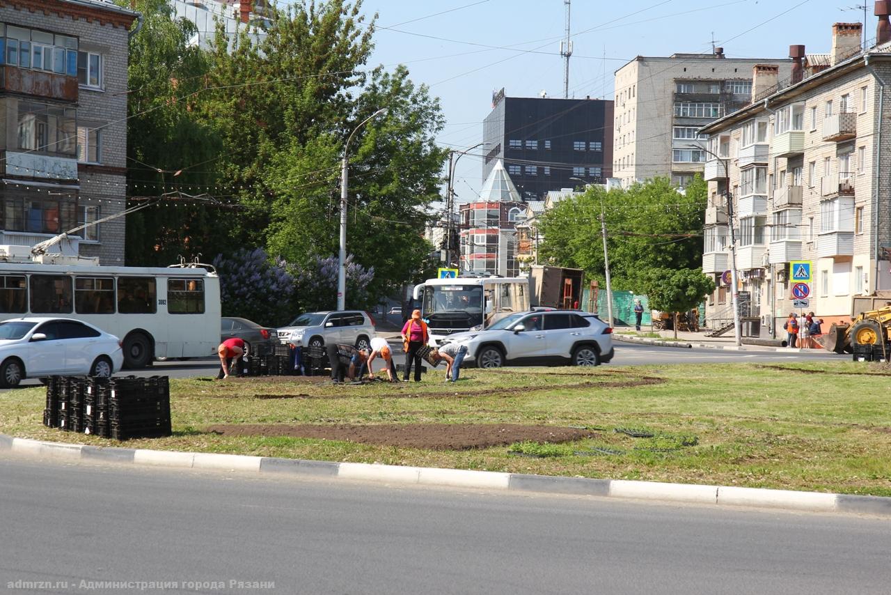 В Рязани продолжается озеленение и уборка городских территорий
