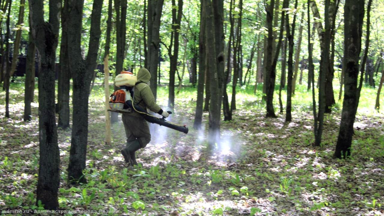 В парках Рязани идет профилактическая обработка от клещей