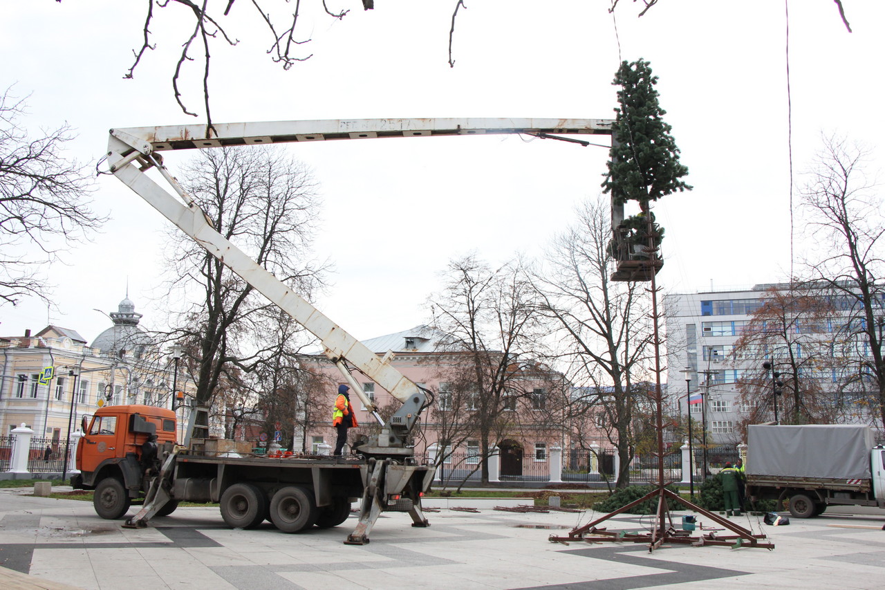 В Рязани началась установка новогодних елей