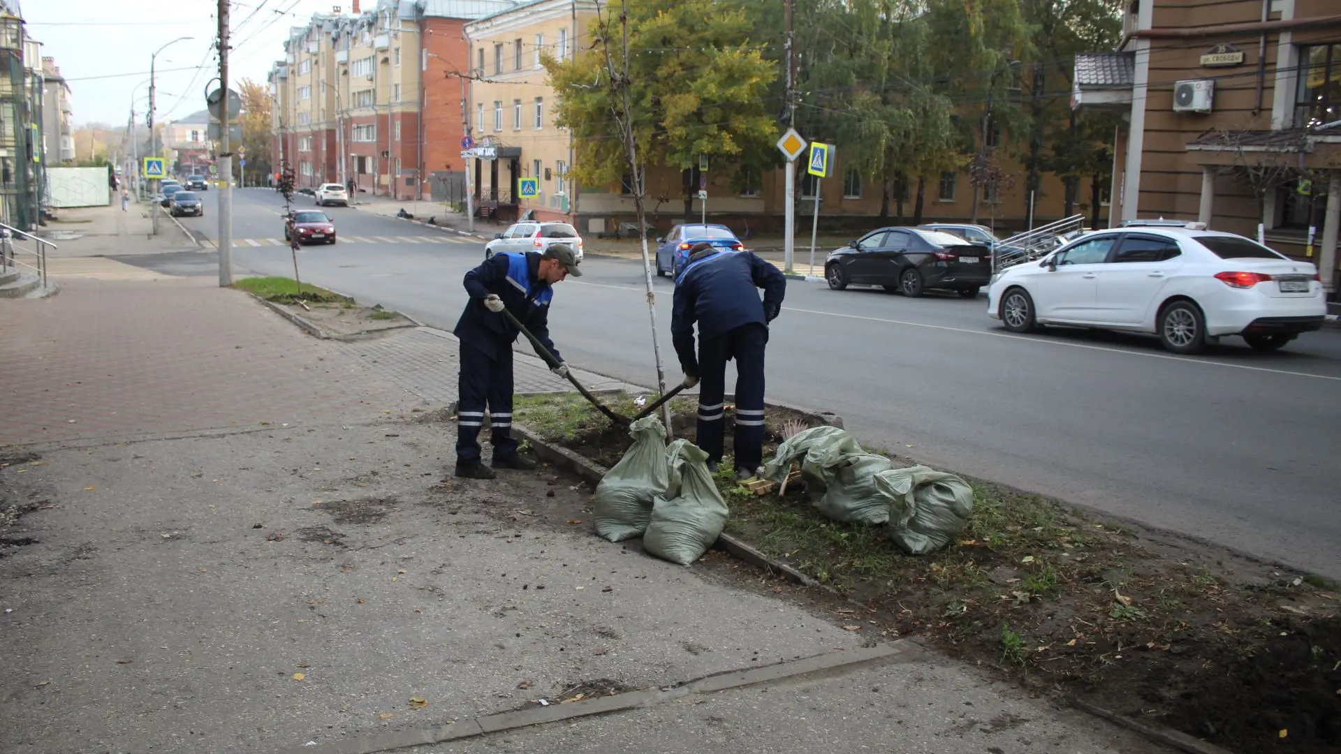 Городские службы ухаживают за зелеными насаждениями 